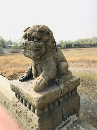 卢沟桥石狮